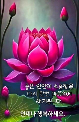 손미경(농업사랑)님의 팜모닝에서 기억에 남은 것은? · 참여글 작성글 사진