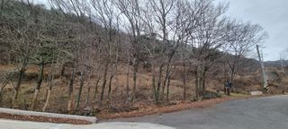 처음처럼 시작님의 팜모닝에서 기억에 남은 것은? · 참여글 작성글 사진