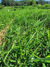 팜모닝 팜모닝에서 기억에 남은 것은?·참여글 게시글 이미지