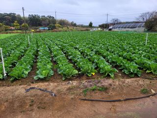 장남복님의 팜모닝에서 기억에 남은 것은? · 참여글 작성글 사진