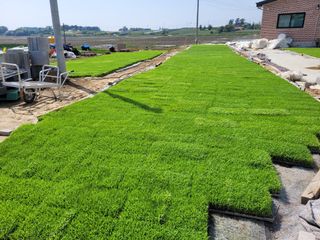 장남복님의 팜모닝에서 기억에 남은 것은? · 참여글 작성글 사진