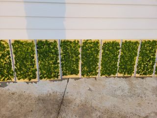 장남복님의 팜모닝에서 기억에 남은 것은? · 참여글 작성글 사진