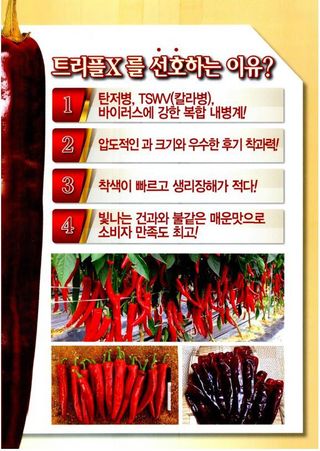 식물보호닷컴님의 작성글 사진