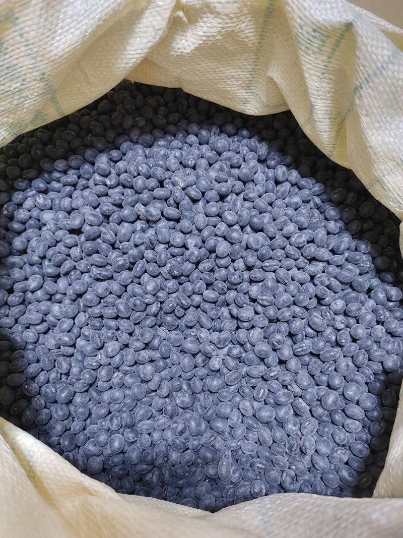 장터 상품 [새바람콩 서리태(판매 완료)] 썸네일