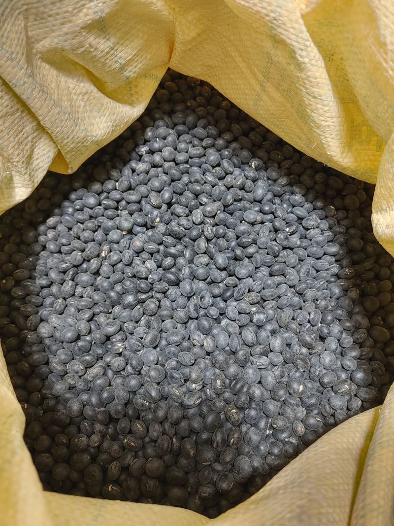 장터 상품 [청자5호 서리태(판매 완료)] 썸네일