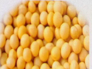 진성아님의 작성글 사진