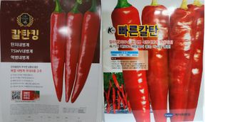 정대장님의 작성글 사진