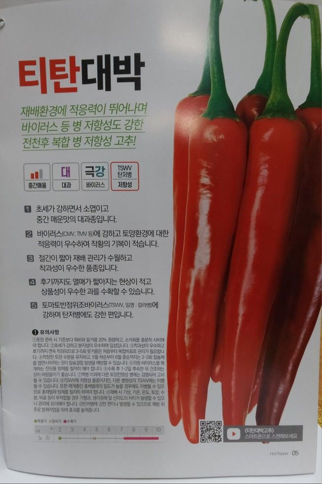 정대장님의 장터 판매 상품 [2024 최우수 고추씨앗 및 고추모종 팝니다.] 첨부 사진