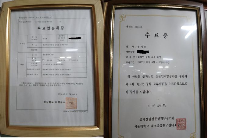 정대장님의 장터 판매 상품 [2024 최우수 고추씨앗 및 고추모종 팝니다.] 첨부 사진