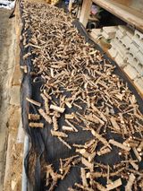 팜모닝 연말결산 자랑하기·참여글 게시글 이미지