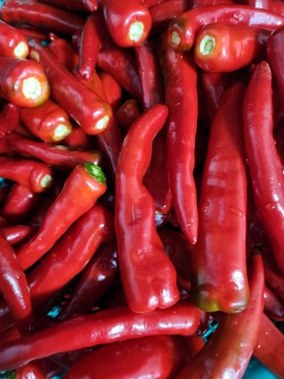 고영희님의 팜모닝에서 기억에 남은 것은? · 참여글 작성글 사진