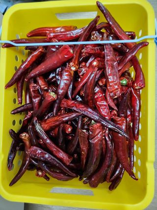 고영희님의 팜모닝에서 기억에 남은 것은? · 참여글 작성글 사진