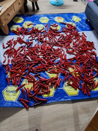 고영희님의 팜모닝에서 기억에 남은 것은? · 참여글 작성글 사진