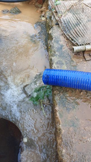 토마토아부지왕궁면님의 하우스정보 · 자유게시판 작성글 사진