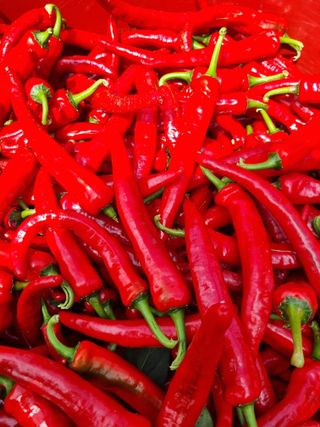 참깨16081님의 팜모닝에서 기억에 남은 것은? · 참여글 작성글 사진