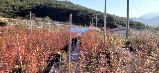 산마루농장님의 연말결산 자랑하기 · 참여글 작성글 사진