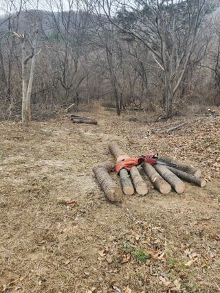 최군환님의 버섯 · 생장기 농작업 작성글 사진