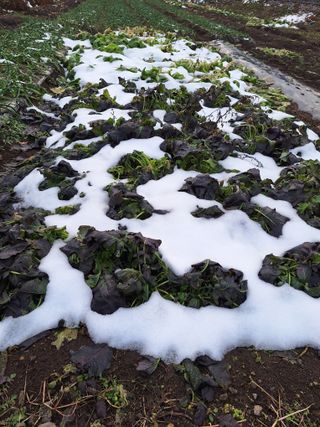 오남현님의 우리동네 · 동네자랑 작성글 사진