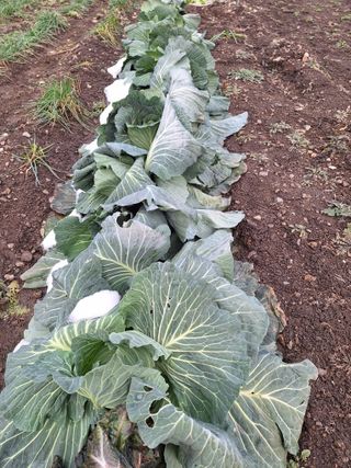 오남현님의 우리동네 · 동네자랑 작성글 사진