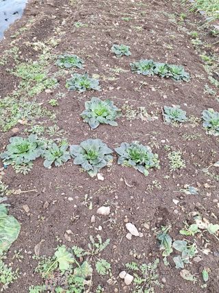 오남현님의 우리동네 · 동네자랑 작성글 사진