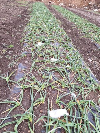 오남현님의 우리동네 · 동네자랑 작성글 사진