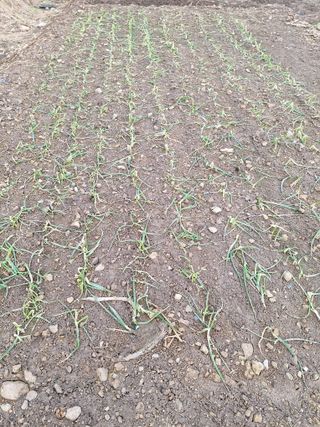 오남현님의 우리동네 · 동네자랑 작성글 사진