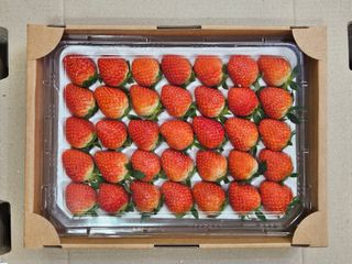 안성화님의 딸기 · 일상 작성글 사진