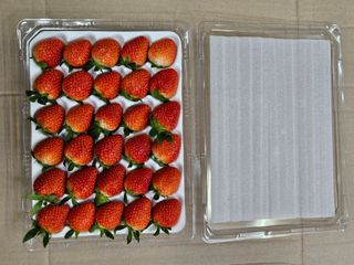 안성화님의 딸기 · 일상 작성글 사진