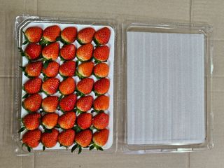 안성화님의 딸기 · 일상 작성글 사진