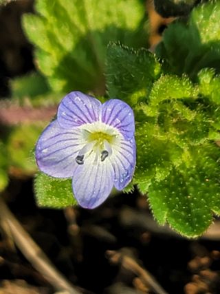 김세리님의 자유주제 · 자유게시판 작성글 사진