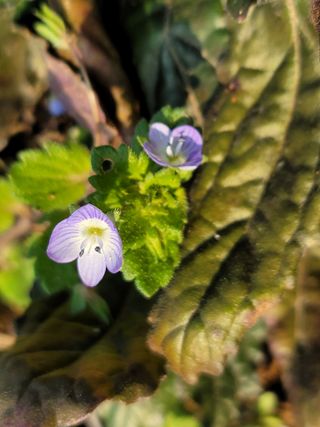 김세리님의 자유주제 · 자유게시판 작성글 사진