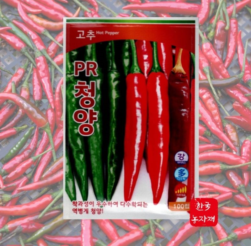 장터 상품 [청양고추 흥농PR고추 100립] 썸네일