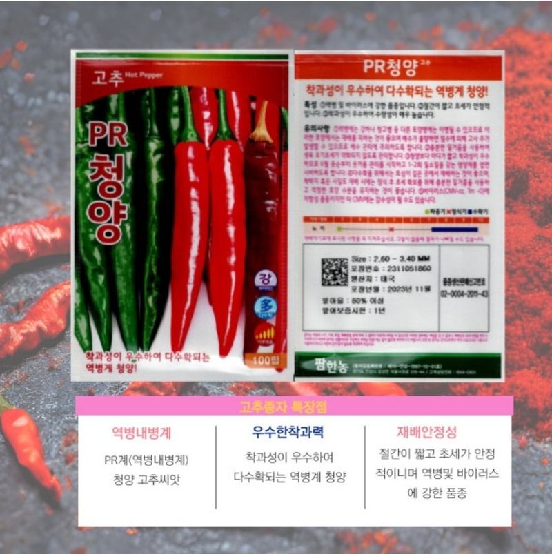 대산농사대장님의 장터 판매 상품 [청양고추 흥농PR고추 100립] 첨부 사진