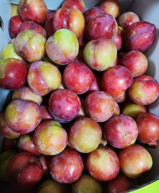 이점례님의 연말결산 자랑하기 · 참여글 작성글 사진