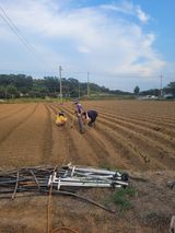 팜모닝 연말결산 자랑하기·참여글 게시글 이미지