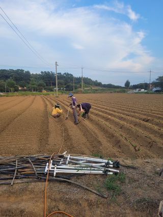 장남복님의 연말결산 자랑하기 · 참여글 작성글 사진