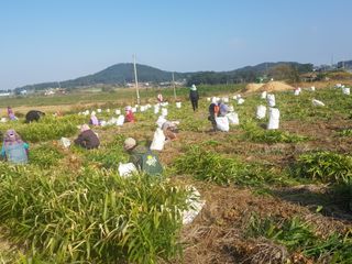 장남복님의 연말결산 자랑하기 · 참여글 작성글 사진
