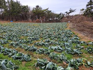 장남복님의 연말결산 자랑하기 · 참여글 작성글 사진