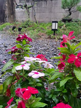 산이뜰(김정우)님의 팜모닝 · 출석 작성글 사진