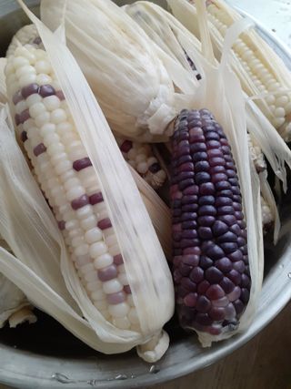 옥수수108701님의 연말결산 자랑하기 · 참여글 작성글 사진