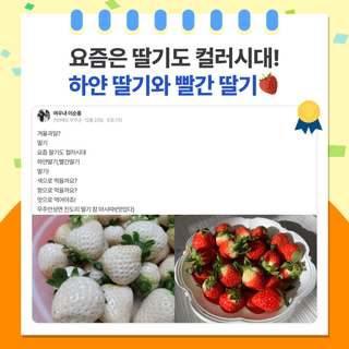 팜모닝 베스트님의 팜모닝공식 · 팜모닝 베스트 작성글 사진