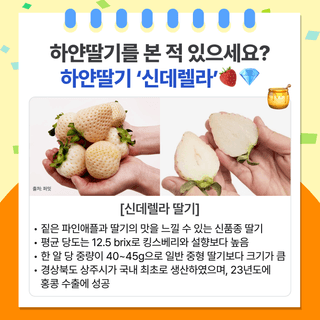 팜모닝 베스트님의 팜모닝공식 · 팜모닝 베스트 작성글 사진