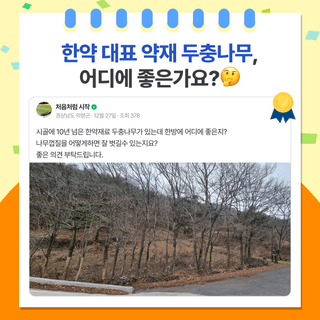 팜모닝 베스트님의 팜모닝공식 · 팜모닝 베스트 작성글 사진