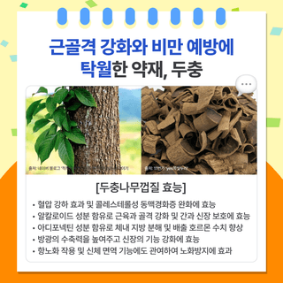 팜모닝 베스트님의 팜모닝공식 · 팜모닝 베스트 작성글 사진