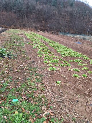 농부여사님의 자유주제 · 사진전 작성글 사진