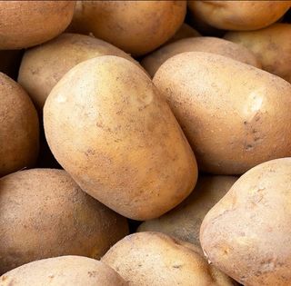 양헌국님의 작성글 사진