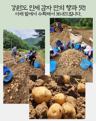 양헌국님의 작성글 사진