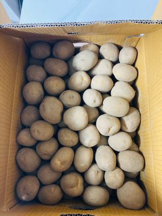 양헌국님의 작성글 사진