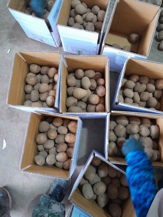 양헌국님의 작성글 사진