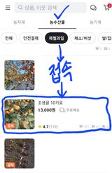 팜모닝 귤·시세•판로 게시글 이미지